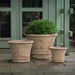 Corda Planter - Antico Terra Cotta - S/3 on concrete filled with plants