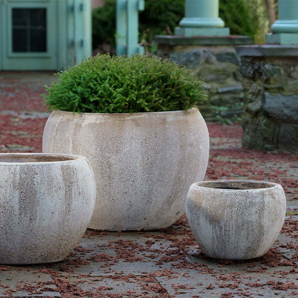 Coronado Planter - Vicolo Chiaro - S/3 on concrete filled with plants