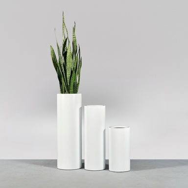 Corry Tall Cylinder Fiberglass Planter shown in different sizes filled with plants.