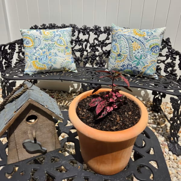 Cortona Planter - Terra Cotta - S/3 on table filled with plants.