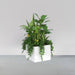 Cuba Low Corner Fiberglass Planter filled with plants against gray background.