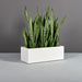 Cuba Low Rectangle Fiberglass Planter in 36 inch length size on concrete filled with plants.