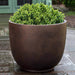 Danilo Planter, Extra Large in rust lite on concrete filled with plants.