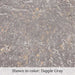 Dapple Gray color swatch