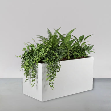 Darwin Tall Rectangle Fiberglass Planter filled with plants against gray backdrop.