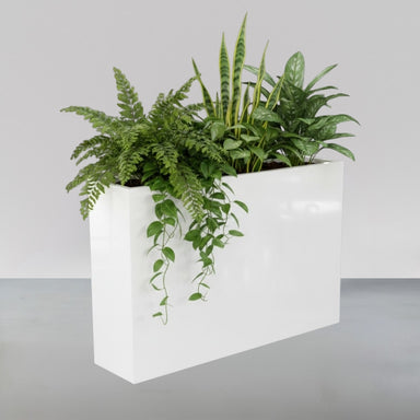 Delray Tall Rectangle Fiberglass Planter filled with plants against gray backdrop