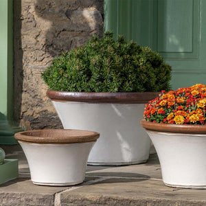 Enfield Planter - Antique White - S/3 filled with plants in the backyard