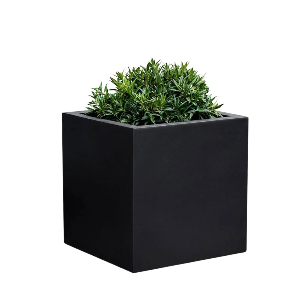 Farnley Planter 1818 S/1 in onyx black lite filled with plants against white background.