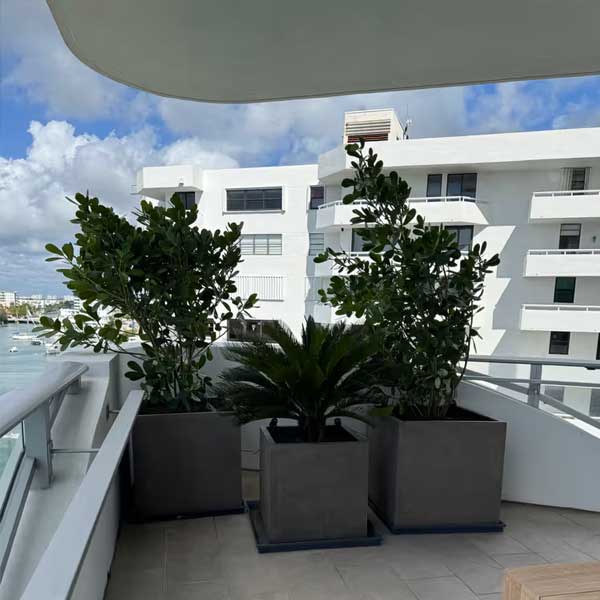 Farnley Planter S/1 filled with green plants on terrace.