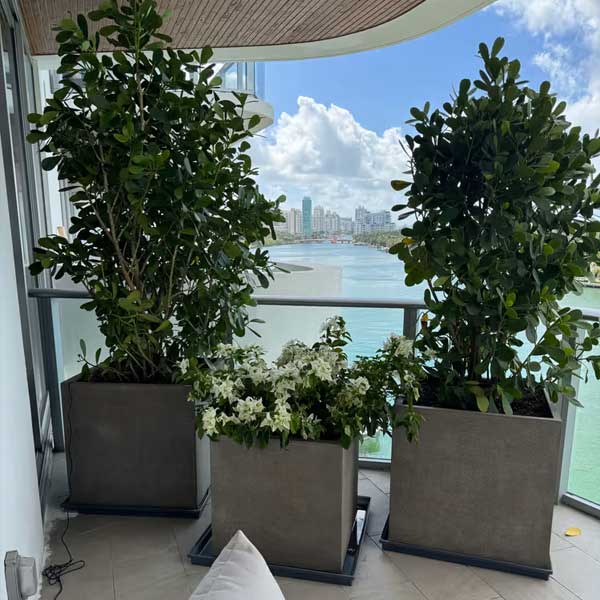 Farnley Planter 2828 S/1 on concrete filled with plants upclose.