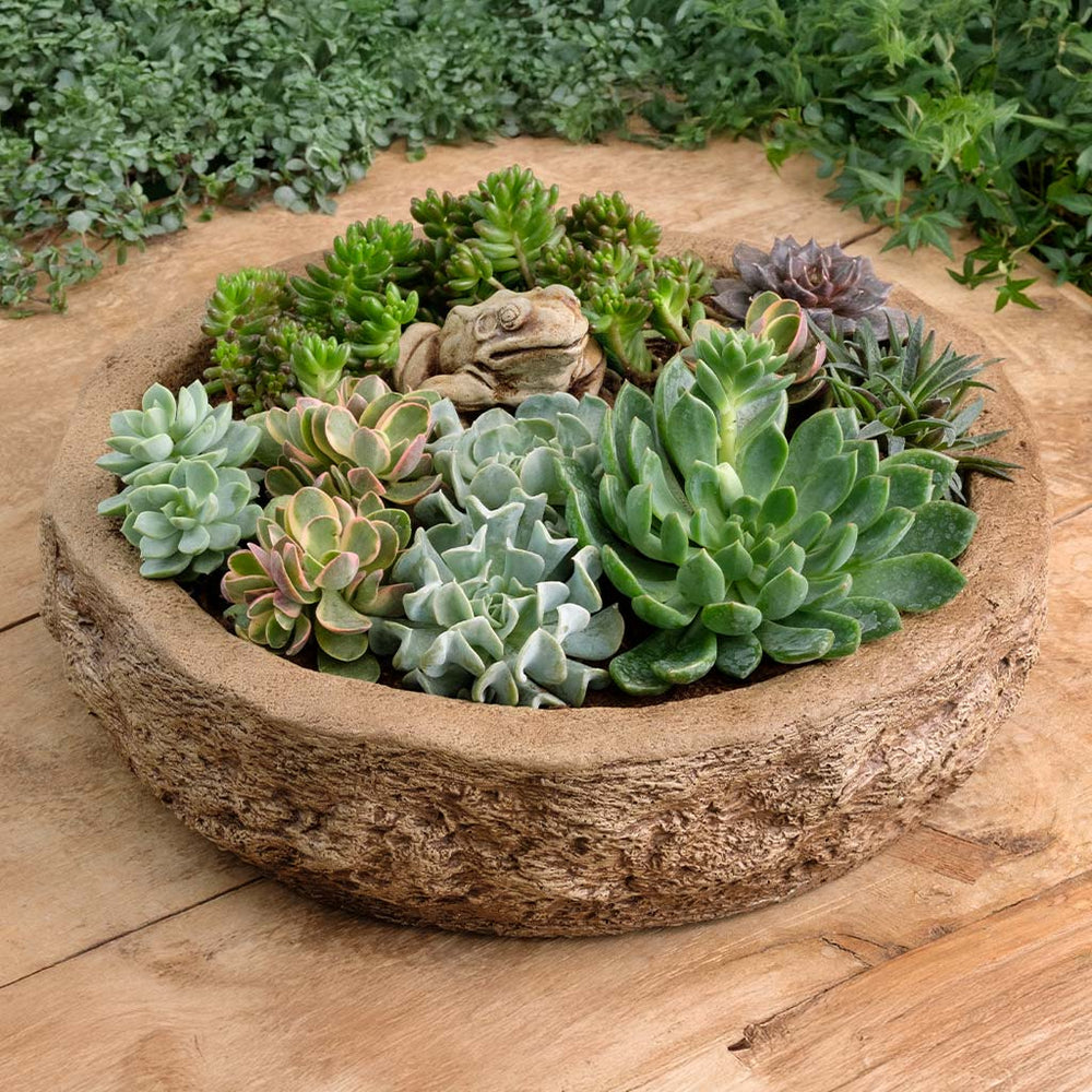 Forest Frog Planter on table filled with plants.
