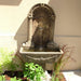 Foritalico Wall Fountain for spout in action against cream wall.