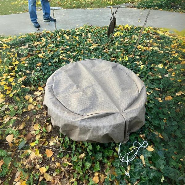 Fountain Cover, Small on green leaves in the backyard