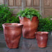 Foxglove Planter - Brunello on concrete in the backyard.