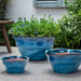 Foxglove Planter, Low - Mediterranean  on concrete in the backyard.