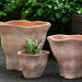 Foxglove Planter - Terra Cotta - on concrete in the backyard.
