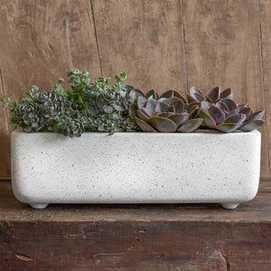 Geo Rectangular Footed Planter - Terrazzo White - S/4 filled with cactus against wooden wall