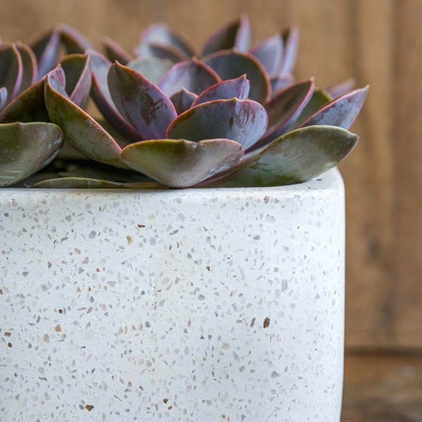 Geo Rectangular Footed Planter - Terrazzo White - S/4 Campania International