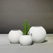 Globe Fiberglass Planter filled with plants shown with different sizes.