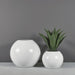 Globe Fiberglass Planter on concrete filled with plants shown with different sizes.
