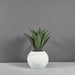 Globe Fiberglass Planter on concrete filled with plants.