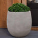 Guilford Planter, Medium in stone grey lite filled with plants