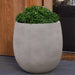 Guilford Planter, Medium in stone grey lite on concrete filled with plants.