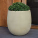 Guilford Planter, Medium on concrete filled with plants