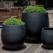 Guilford Planter, Small in onyx black lite filled with plants