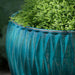 Harlequin Planter - Blue Jade - S/5 filled with plants upclose