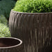 Harlequin Planter - Fog - S/5 filled with plants upclose