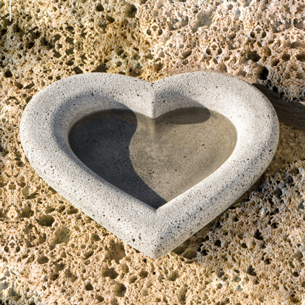 Heart Shell, Large on concrete in the backyard