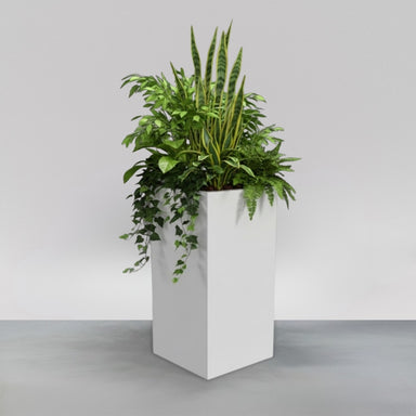 Holywood Corner Fiberglass Planter filled with plants against gray background.