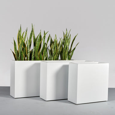 Hollywood Rectangle Fiberglass Planter shown in different sizes filled with plants.