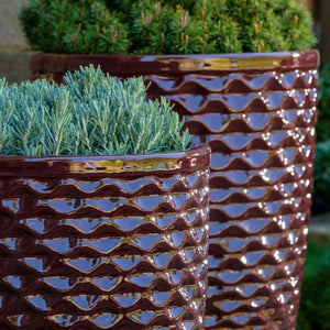 Honeycomb Planter, Tall - Plum - S/4 filled with plants upclose