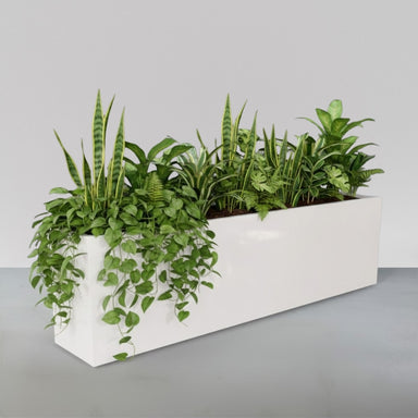 Hudson Extra Long Rectangle Fiberglass Planter filled with plants against gray backdrop.