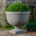 Huntington Urn, Extra Small on gravel filled with plants