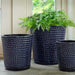 I/O Coin Pot Planter - Sapphire - S/3 on concrete filled with plants