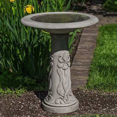 Iris Birdbath on gravel in the backyard