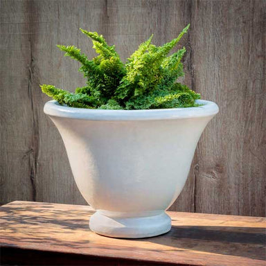 Jacqueline Urn - Antique White - S/2 on table filled with plants