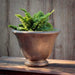 Jacqueline Urn - Bronze - S/1 on table filled with plants