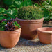 Kaili Planter Natural Rustic s/3 on the gravel in the garden