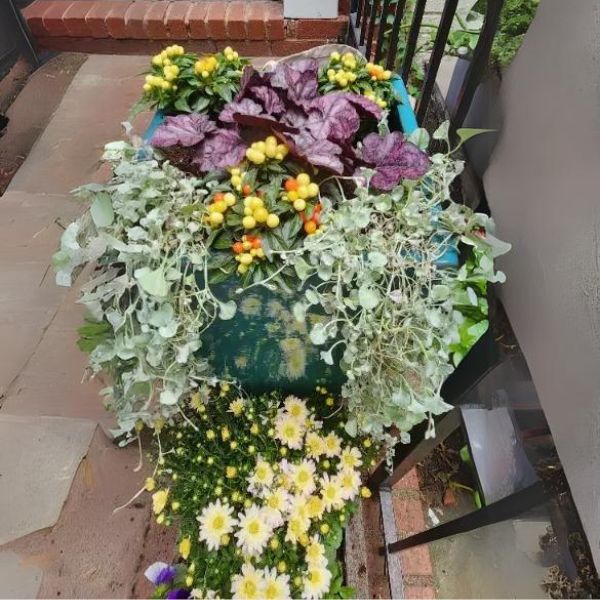 Karis Planter - Agave - S/2 on concrete filled with flowers upclose