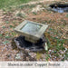 Kyoto Birdbath in the backyard.