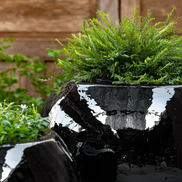 Le Monde Planter filled with plants upclose.