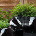 Le Monde Planter filled with plants upclose.