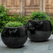 Le Petit Monde Planter shown with different size planter filled with plants.