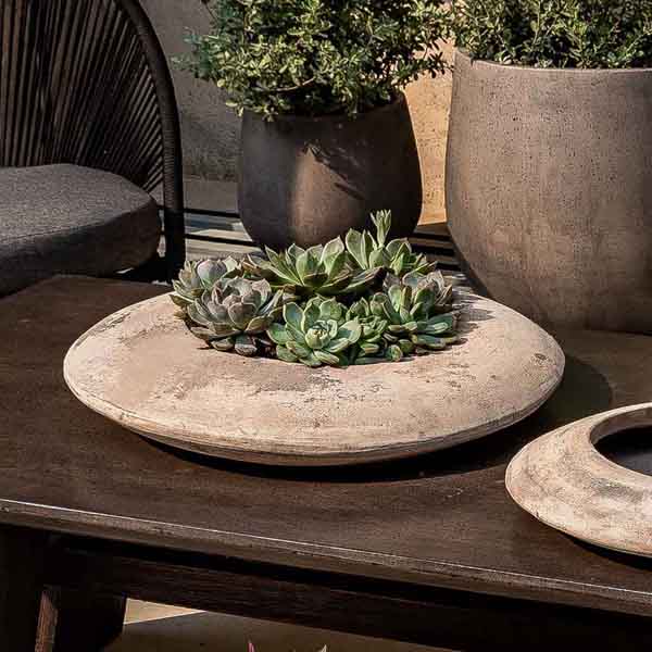 Luna Bowl Planter, Medium - Antico Terra Cotta - S/2 on the table filled with plants