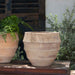 Malaga Planter - Antico Terra Cotta - S/4 on ledge in the backyard