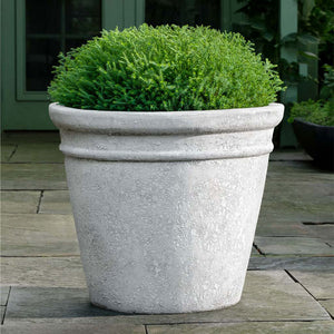 Marchand Planter - White Coral - S/3 on concrete filled with plants